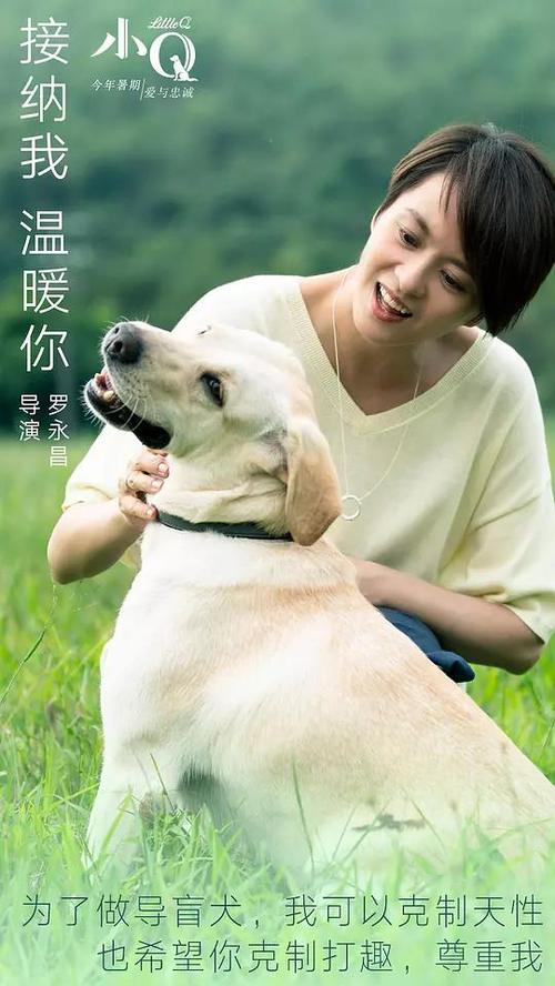 波茨坦-巴贝尔斯贝格影视学院电子工程学位证书